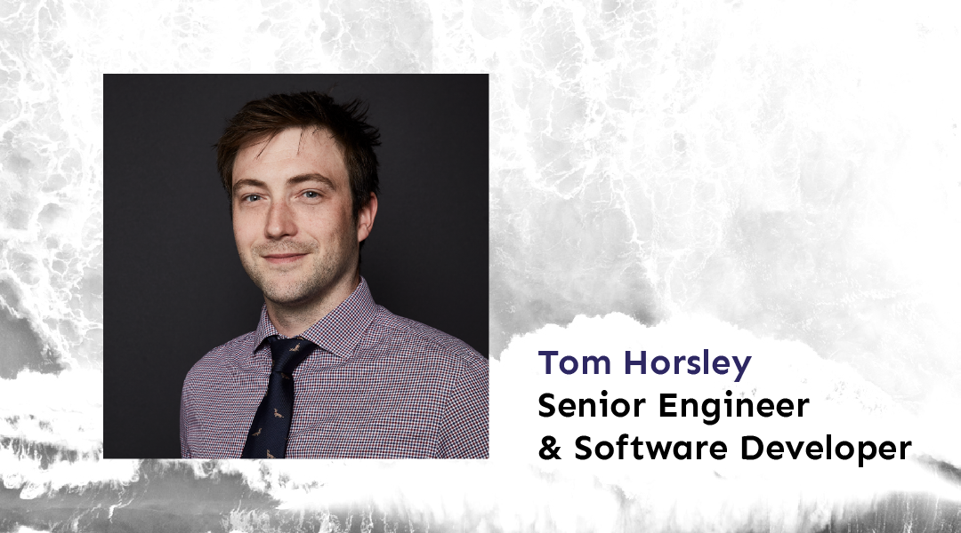 Tom Horsley Senior Engineer and Software Developer Portrait